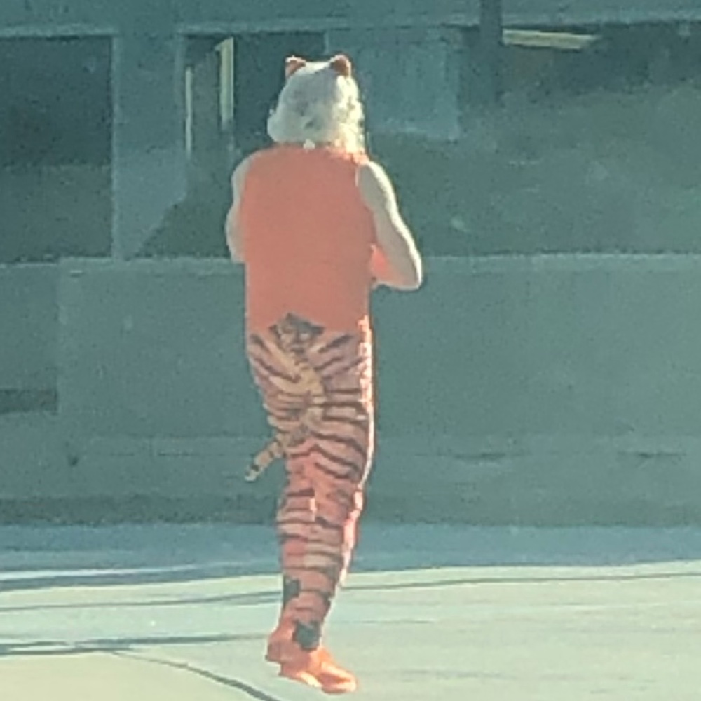 Meet your Posher, Laura